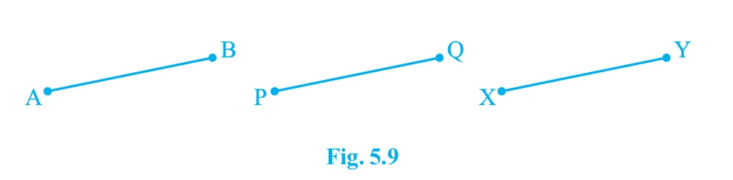 Fig 5.9 Euclid Geometry
